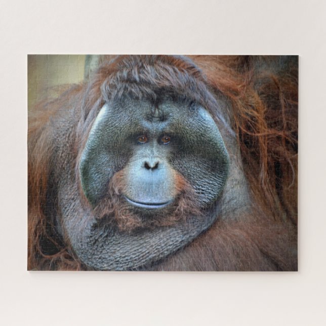 Puzzle Orangután (Horizontal)