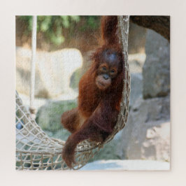 Puzzle OrangUtan 2020-03-01