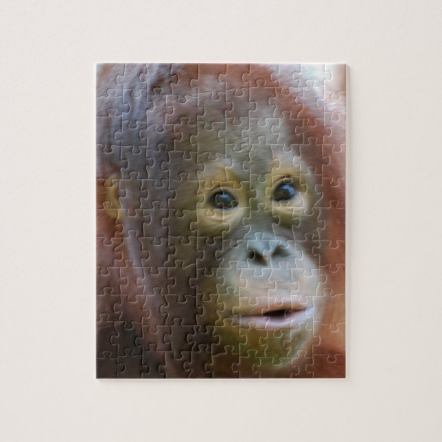 Puzzle Orangután en la isla de Borneo (Vertical)