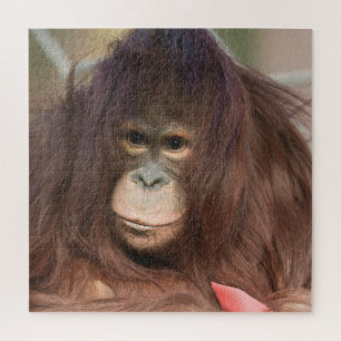Puzzle Orangutan Kayan