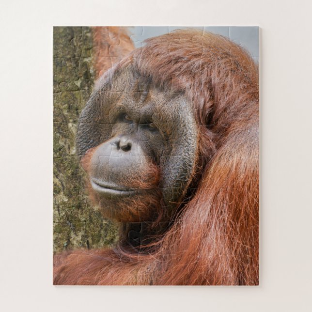 Puzzle Orangután machista (Vertical)