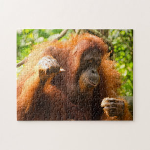 Puzzle Orangután Zoo de Singapur .