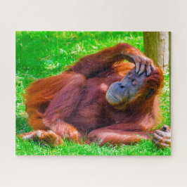 Puzzle Orangutanes.