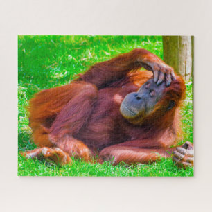 Puzzle Orangutanes.
