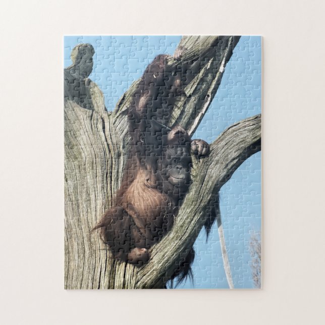 PUZZLE ORANGUTANOS (Vertical)