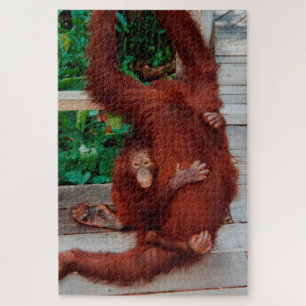 Puzzle Orangutans 1014-pc