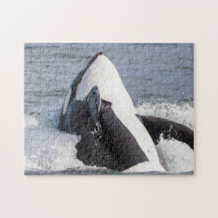 Puzzle Orca saltando fuera del agua