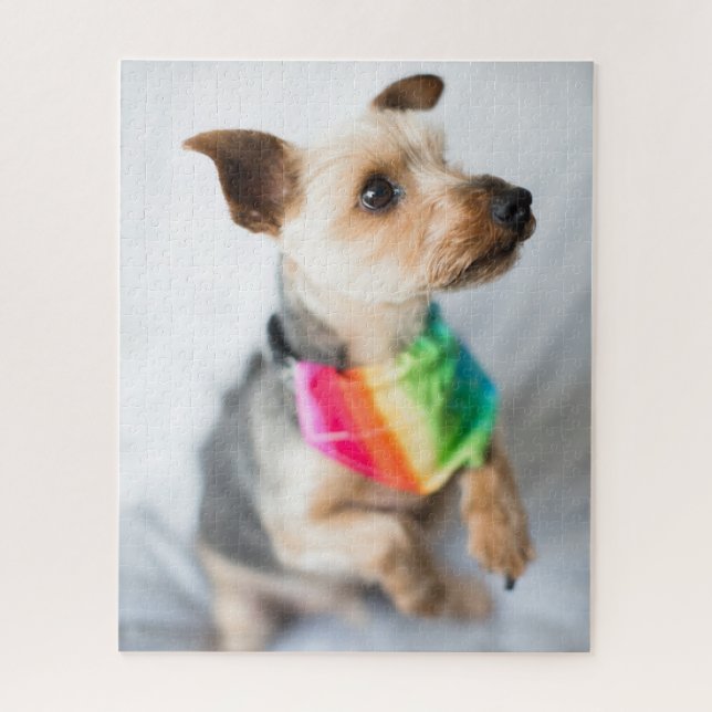 Puzzle Orgullo gay Perro arco iris | Yorkshire Terrier (Vertical)
