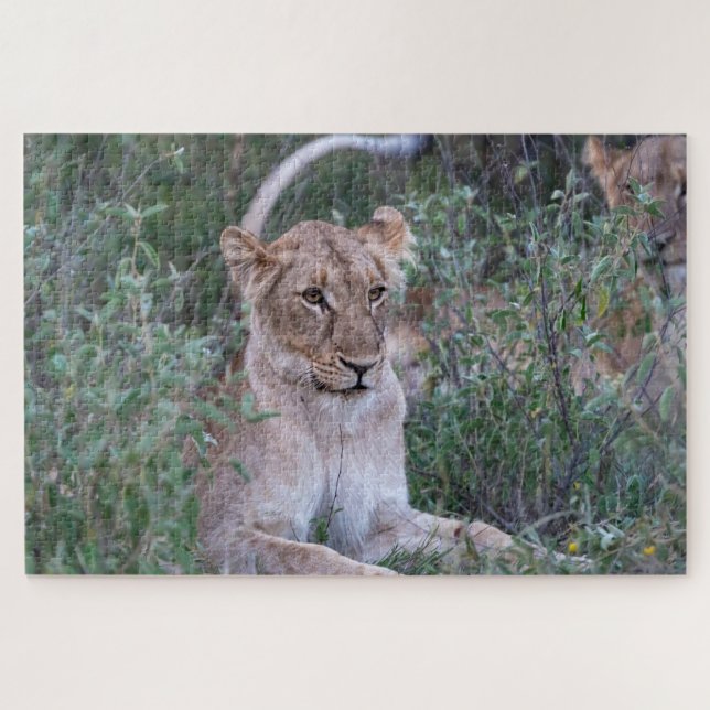 Puzzle Orgullo Guardián – Leona Descansando (Horizontal)