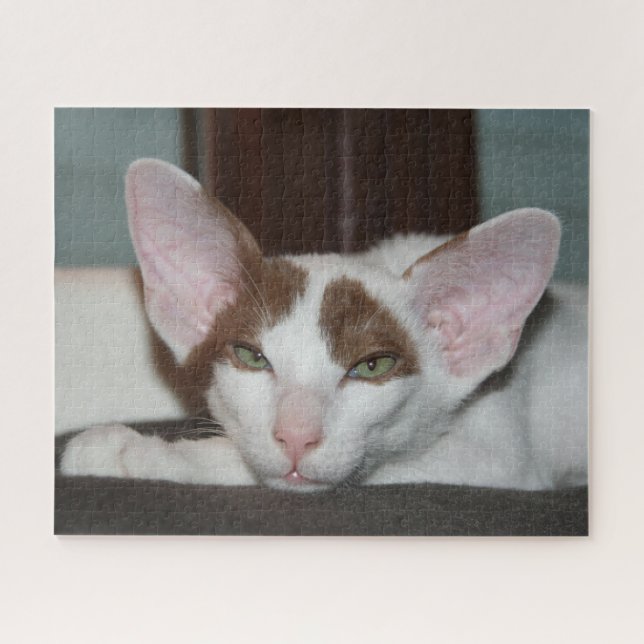 Puzzle Oriental Shorthair Cat (Horizontal)