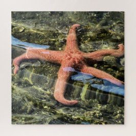 Puzzle Original Photograph of Starfish under Water