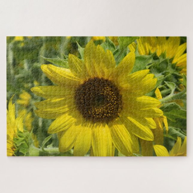 Puzzle Oro de girasol (Horizontal)