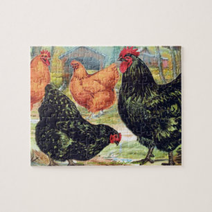 Puzzle "Orpingtons~Chicken "
