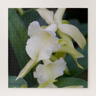 Puzzle Orquídea Blanca