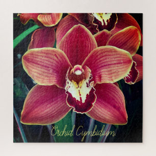 Puzzle Orquídea. Cimbidio
