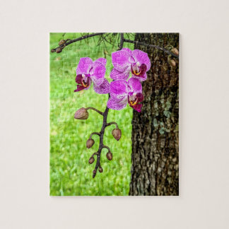 Puzzle Orquídea de árbol en flor
