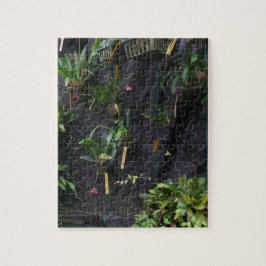 Puzzle Orquídea Drácula