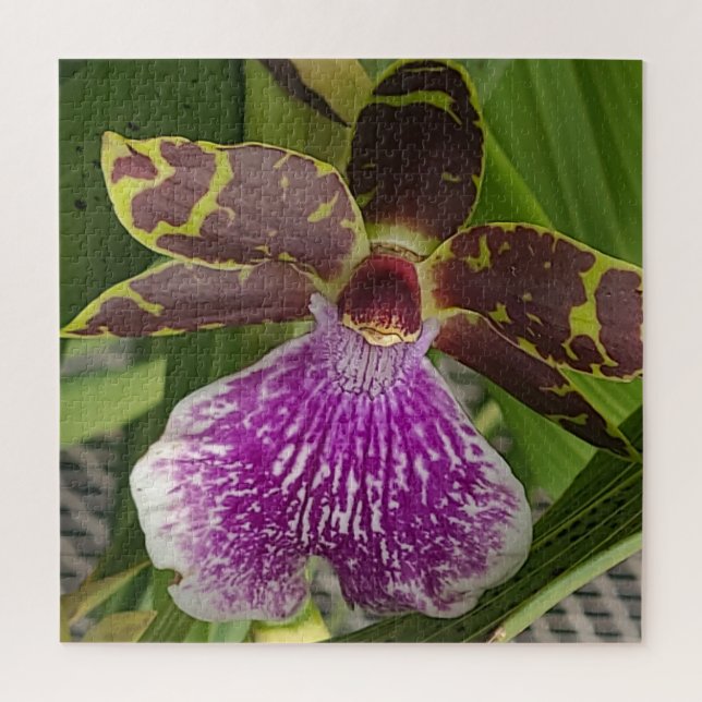 Puzzle Orquídea manchada púrpura y verde (Vertical)