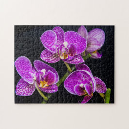 Puzzle Orquídea púrpura