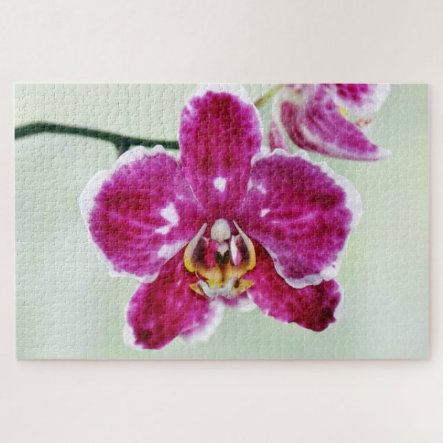 Puzzle Orquídea rosa (Horizontal)
