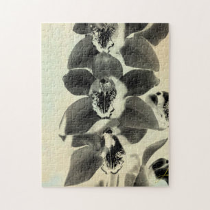 Puzzle Orquídea Rubor Paneles IV