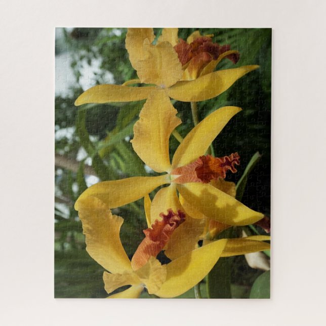 Puzzle Orquídeas (Vertical)