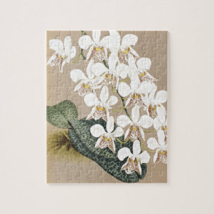 Puzzle Orquídeas