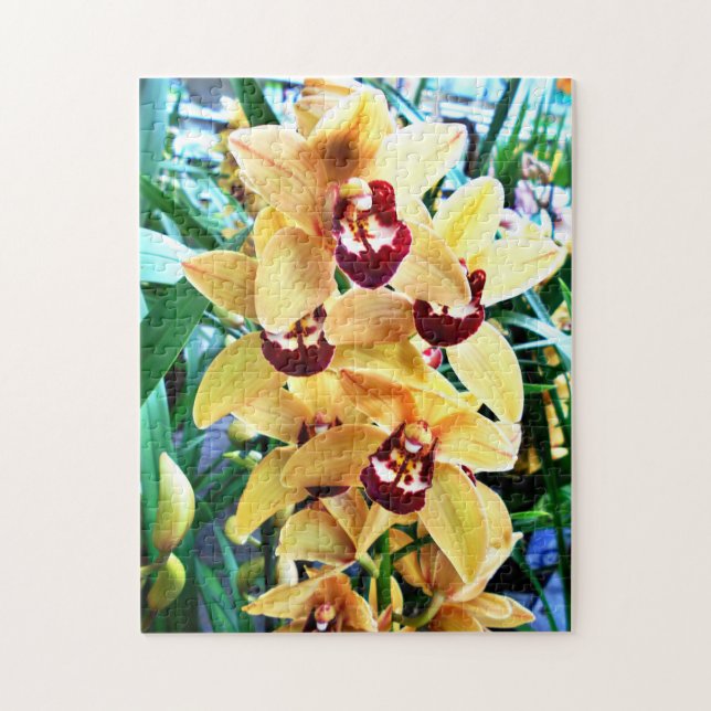 Puzzle Orquídeas amarillas del Cymbidium (Vertical)