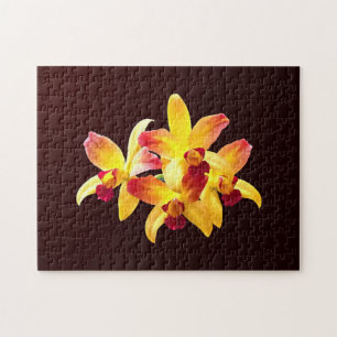 Puzzle Orquídeas Amarillas y Marrones Brassolaeliocattley