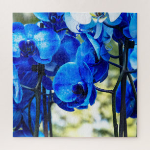 Puzzle Orquídeas azules