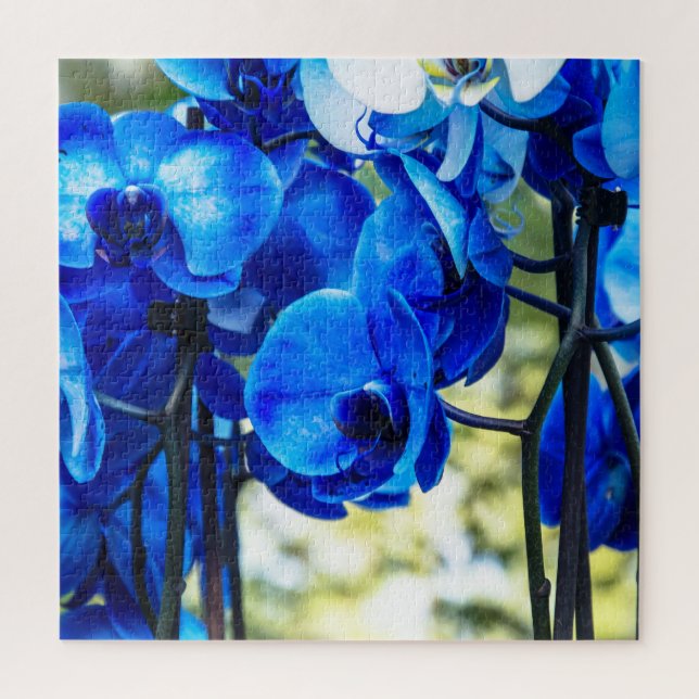 Puzzle Orquídeas azules (Vertical)