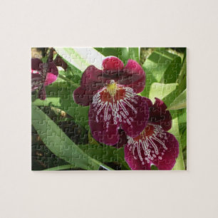 Puzzle Orquídeas de Marrón II Elegante Floral