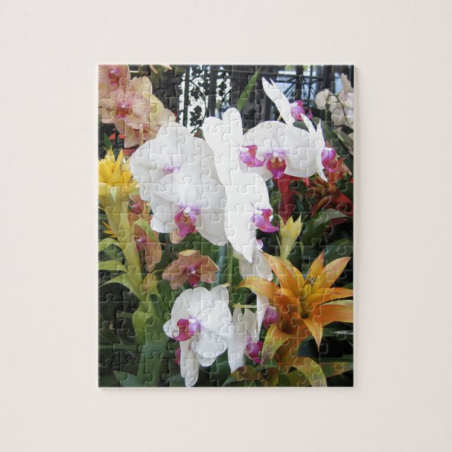 Puzzle Orquídeas e hierro (Vertical)