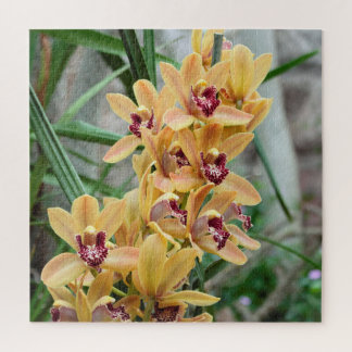 Puzzle Orquídeas Estelares Exóticas