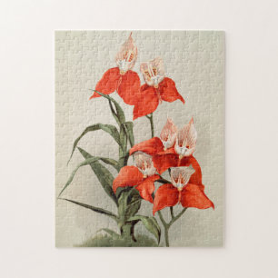 Puzzle Orquídeas florecientes Flores Vintage Ilustracion 