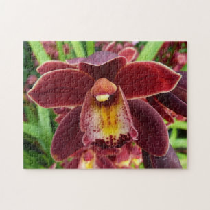 Puzzle Orquídeas Maroon I Hermosa Floral Roja