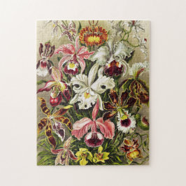 Puzzle Orquídeas Orchideae Denusblumen Ernst Haeckel