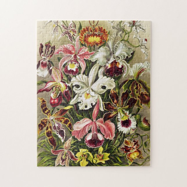 Puzzle Orquídeas Orchideae Denusblumen Ernst Haeckel (Vertical)