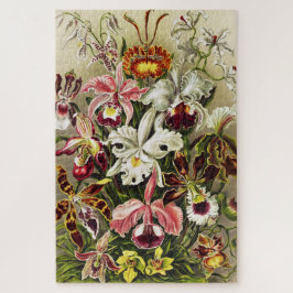 Puzzle Orquídeas Orchideae Denusblumen Ernst Haeckel