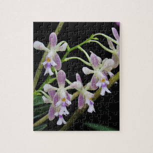 Puzzle Orquídeas Purpura y Blancas