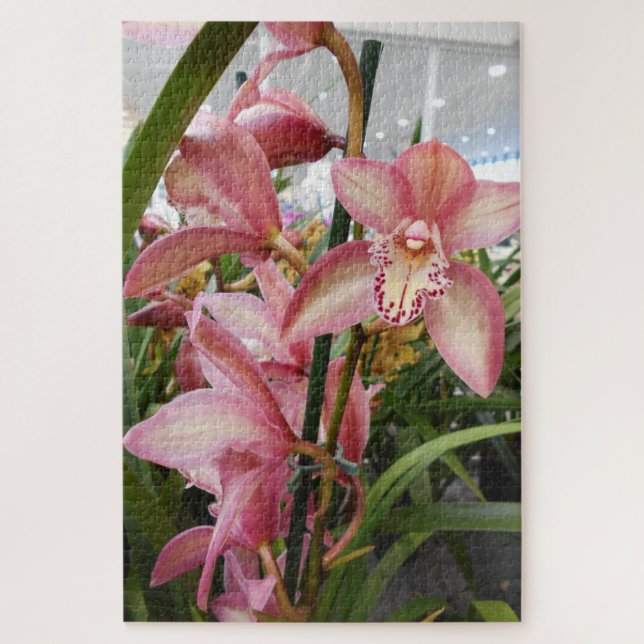 Puzzle Orquídeas rosadas del Cymbidium (Vertical)