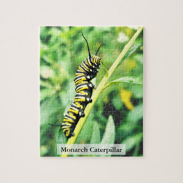 Puzzle Oruga de Mariposa Monarca Alimentación 110 Piezas (Vertical)