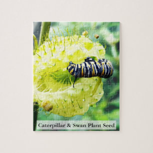 Puzzle Oruga Monarca y Semilla de Planta de Cisne 110 Pza