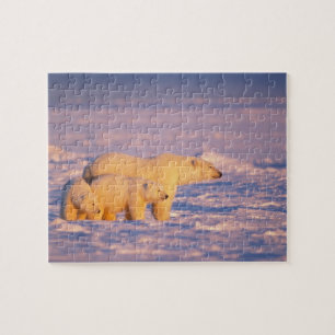 Puzzle Osa de oso polar con cachorros de primavera en el 