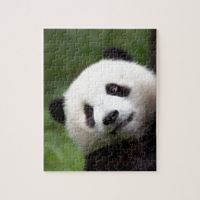 Puzzle Oso Cub de panda (Vertical)
