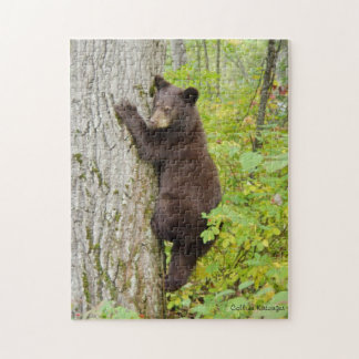 Puzzle Oso Cub en árbol