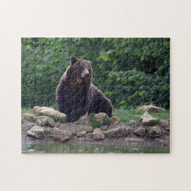 Puzzle Oso de Brown (Horizontal)