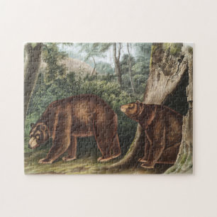Puzzle Oso de Cinnamon (Ursus Americanus var. Cinnamonum)