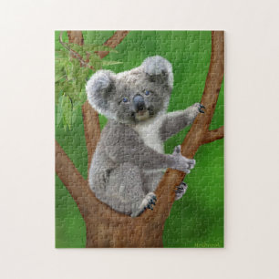 Puzzle Oso de koala de ojos azules del bebé