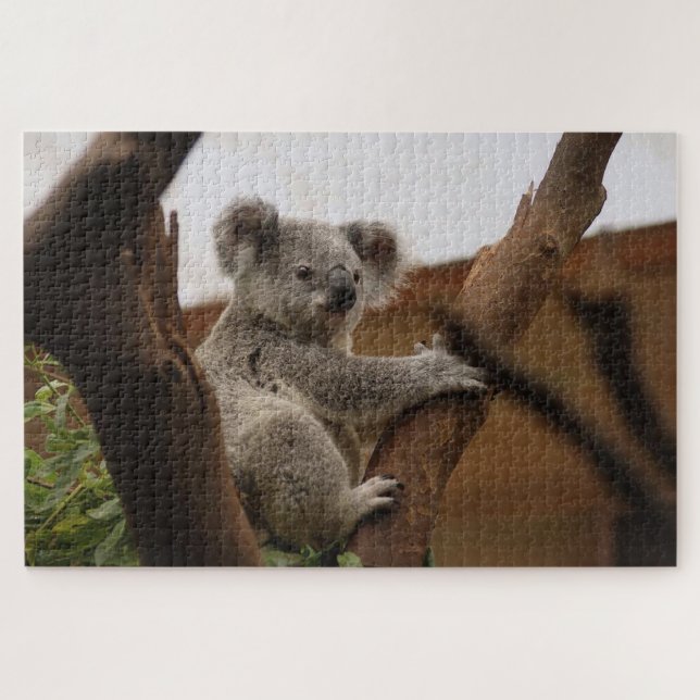 Puzzle Oso de koala gris en un árbol (Horizontal)